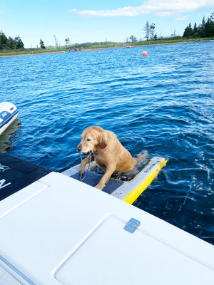 pup plank XL 