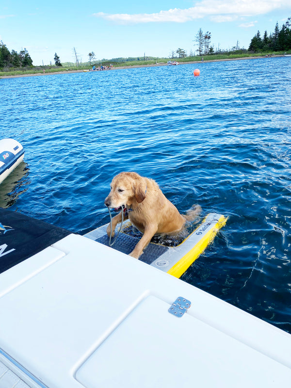 pup plank XL