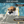 Load image into Gallery viewer, pup plank