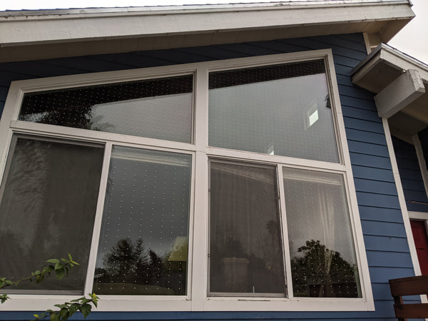 Large residential window with feather friendly bird markers