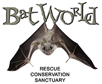 Bat World Rescue Conservation Sanctuary